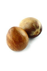 Image showing avocado seed