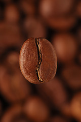 Image showing coffee-bean