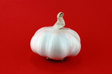 Image showing Garlic