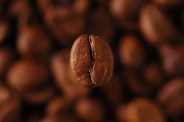 Image showing coffee-bean #2