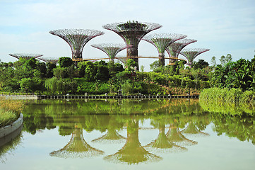 Image showing Gardens by the Bay in Singapore