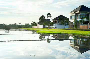 Image showing Bali living