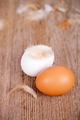 Image showing two eggs and feathers 