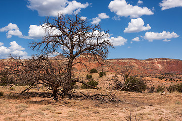 Image showing Colorful New Mexico