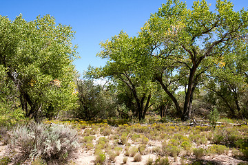 Image showing Impressive and scenic landscape in New Mexico