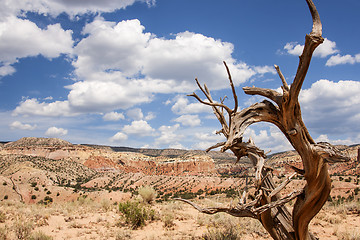 Image showing Colorful New Mexico