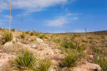 Image showing Impressive and scenic landscape in New Mexico