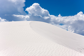 Image showing More treasures of New Mexico