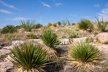 Image showing Impressive and scenic landscape in New Mexico