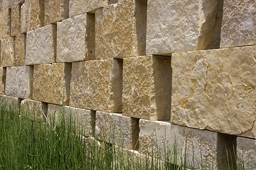 Image showing Natural wall and grass