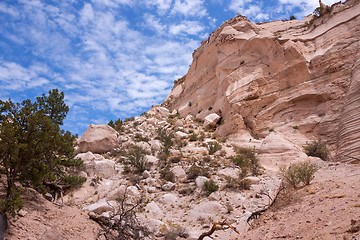 Image showing More treasures of New Mexico