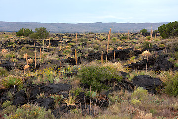 Image showing Impressive and scenic landscape in New Mexico