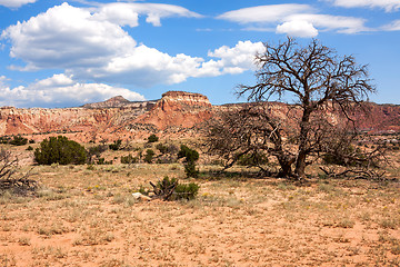 Image showing Impressive and scenic landscape in New Mexico