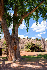 Image showing Nice place to sit under a tree