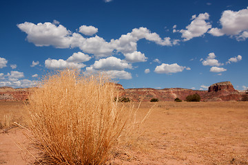 Image showing Colorful New Mexico