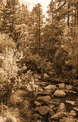 Image showing Vintage look pictures of Jemez River in New Mexico