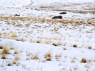 Image showing Winter with snow in New Mexico's Caldera