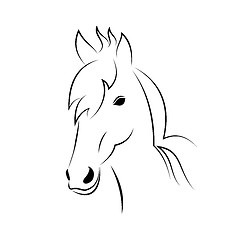 Image showing Symbol outline head horse isolated on white background