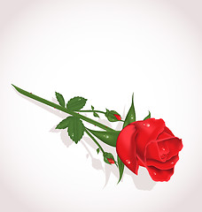 Image showing Elegant rose for design your greeting card