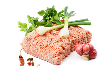 Image showing Minced Meat