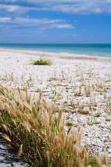 Image showing beach of Adriatic Sea, Italy