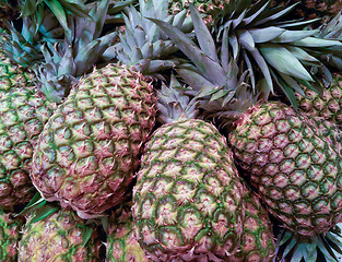 Image showing Pineapples
