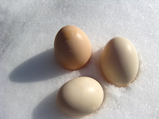 Image showing eggs of hen lying on the snow