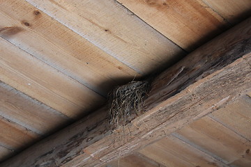 Image showing nest of swallow in room