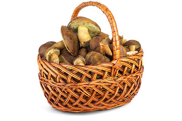 Image showing Wicker basket with cepe mushrooms