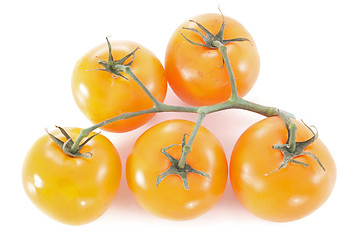 Image showing orange tomatoes