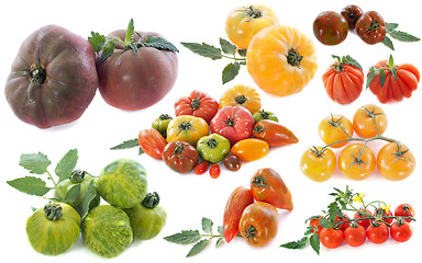 Image showing ancient varieties of tomatoes