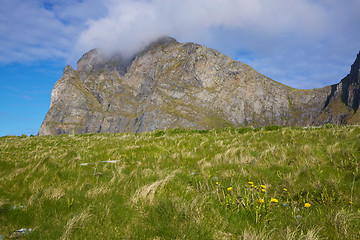 Image showing Coastal cliff