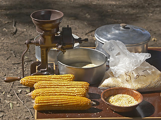 Image showing Corn