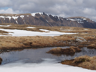 Image showing Cairngorms plateau south of Braeriach, Scotland in spring