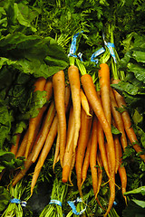 Image showing Bunch of Carrots