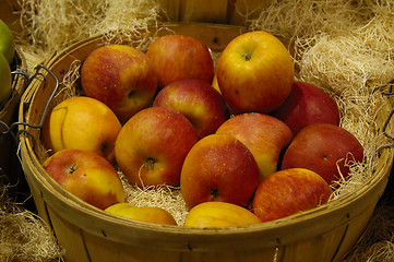 Image showing Basket of Apples