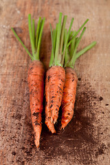 Image showing fresh carrots bunch