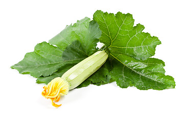 Image showing fresh zucchini with green leaves