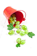 Image showing green gooseberry in metal bucket 