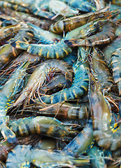 Image showing Shrimps for sale on the market close up