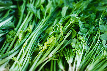 Image showing Herbs on market close up