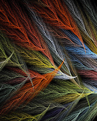 Image showing Multi Coloured Feathers