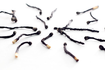 Image showing Burned matches 