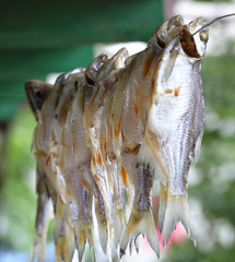 Image showing Dried fish 