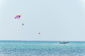 Image showing Parasailing 