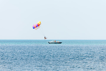 Image showing Parasailing