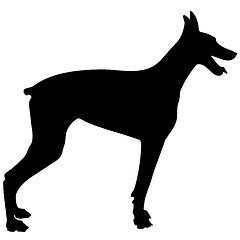 Image showing Doberman Silhouette