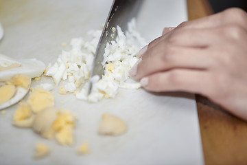 Image showing Food preparation