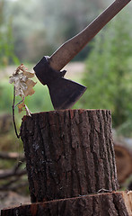 Image showing Axe in oak stump