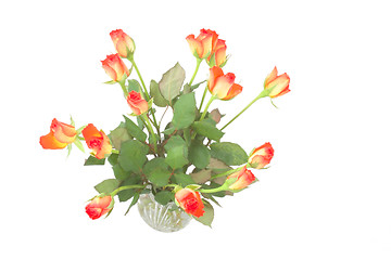 Image showing roses in a vase